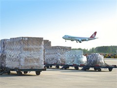 肇庆货物运输公司 深耕运输代理服务，助力物流枢纽畅通发展